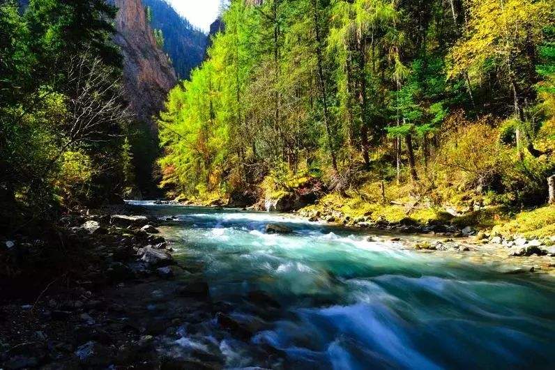甘肃洮河国家级自然保护区管理局2019年度资源管理工作目标全面完成