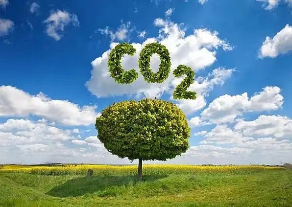 双碳目标、碳交易与低碳生活